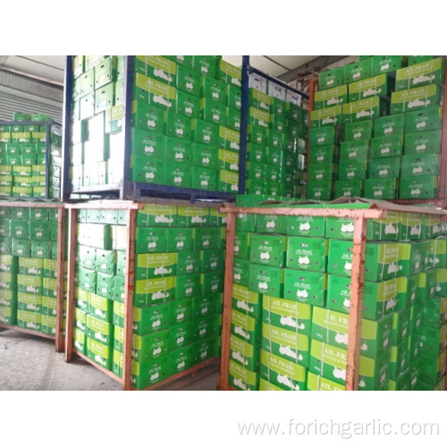 Export Standard Normal White Garlic New Crop